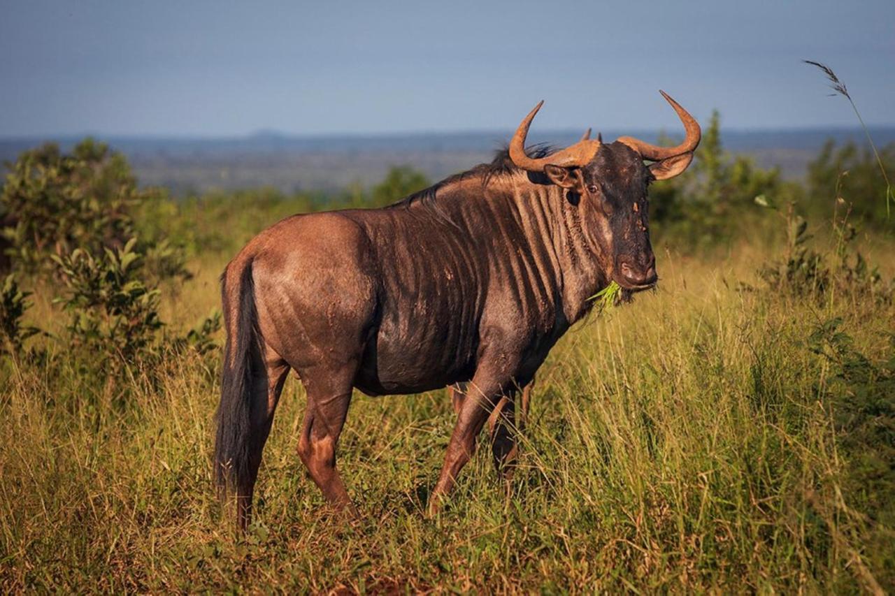 Hotel Bushlink Safaris,Lower Sabie Rest Camp Skukuza Exterior foto